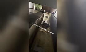 Beautiful girl poops in the toilet 38