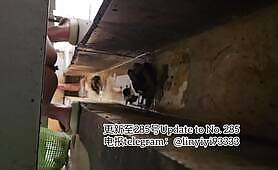 Beautiful girl poops in the toilet 73